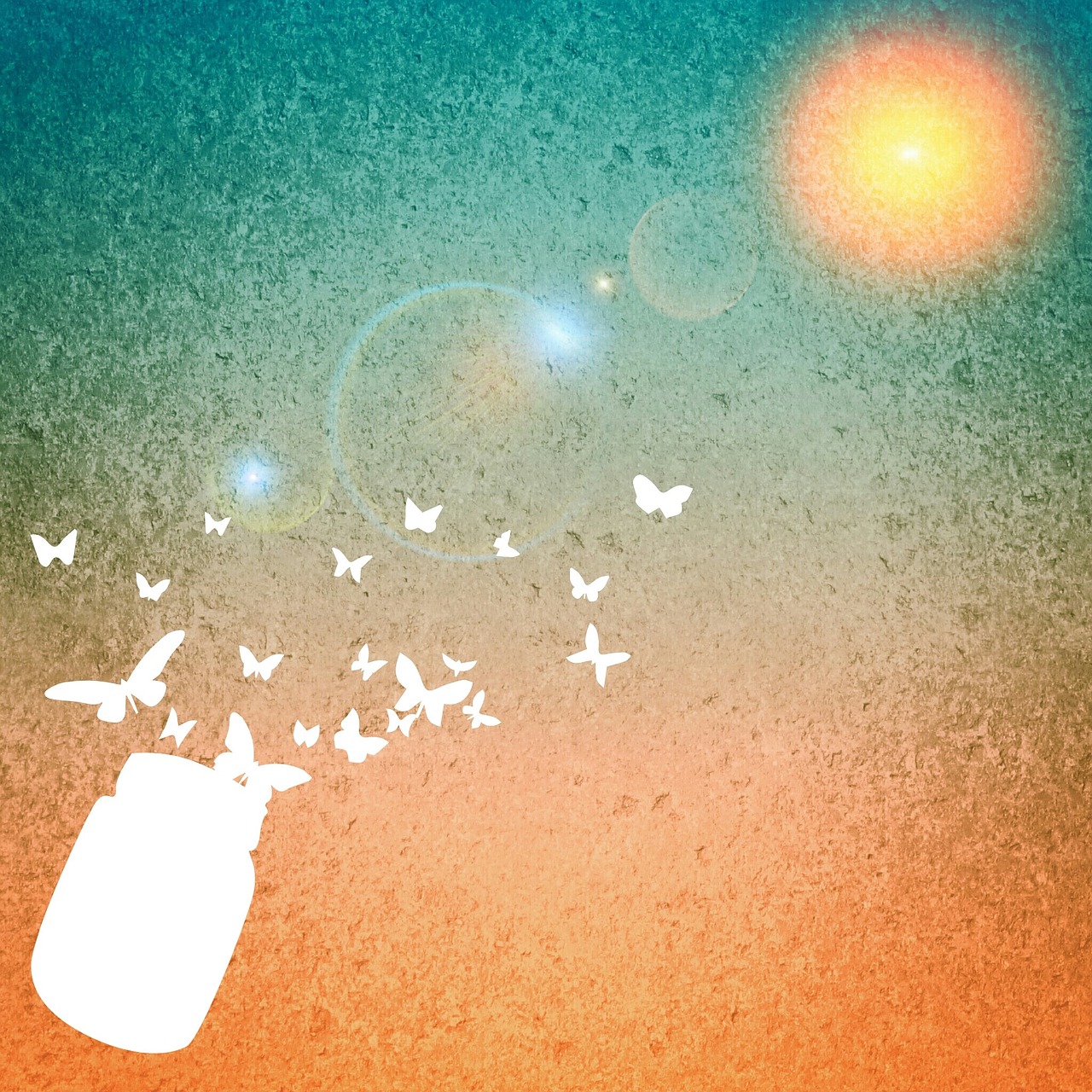 background sun butterflies free photo