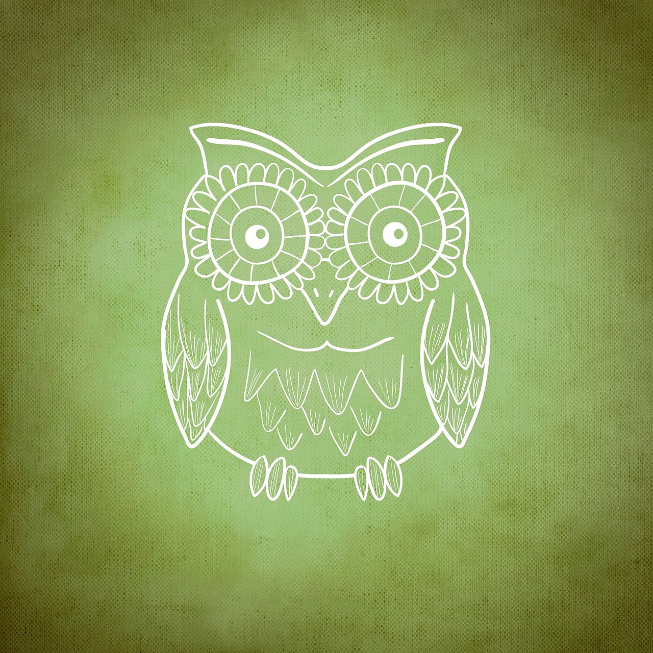 background owl pattern free photo