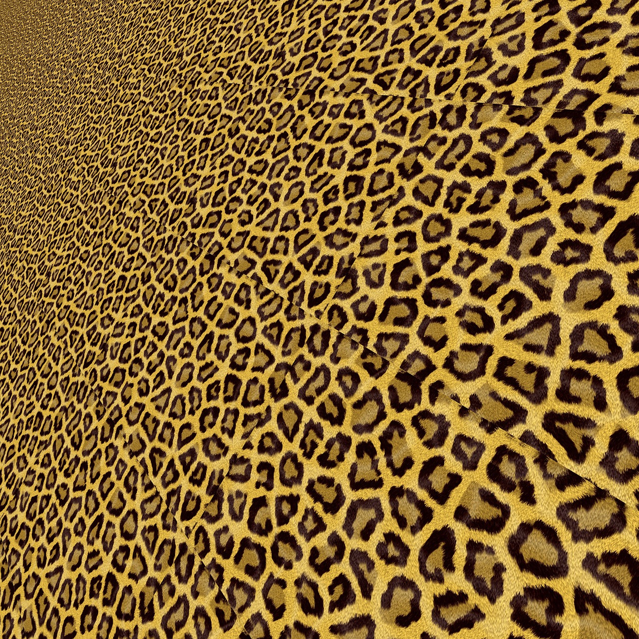 background leopard animal free photo