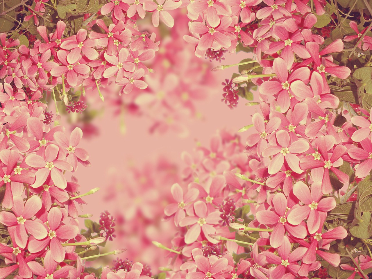 background texture floral free photo