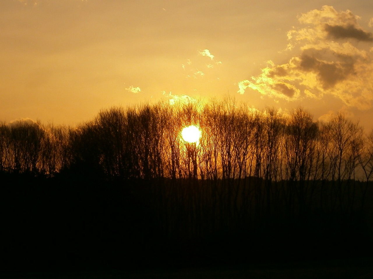 background evening sunset free photo