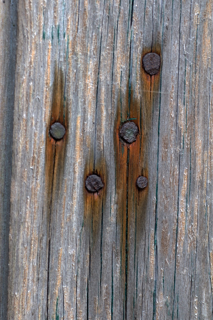 background wood structure free photo