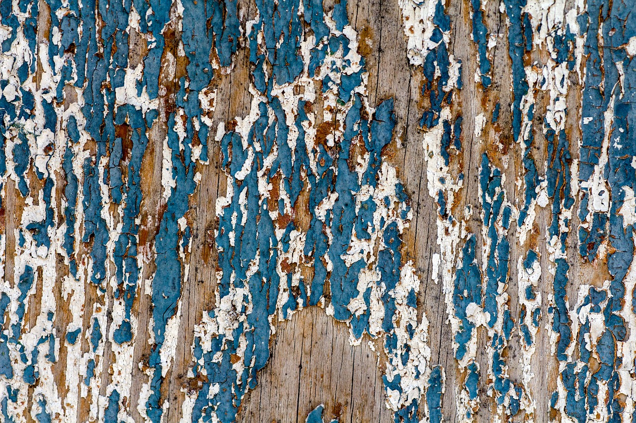 background wood old free photo