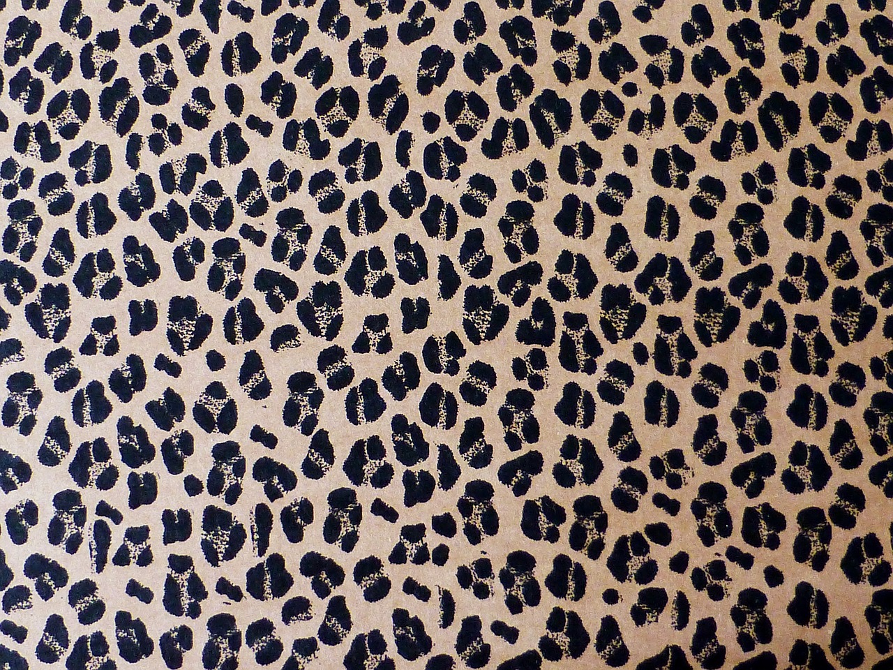 background pattern leopard free photo