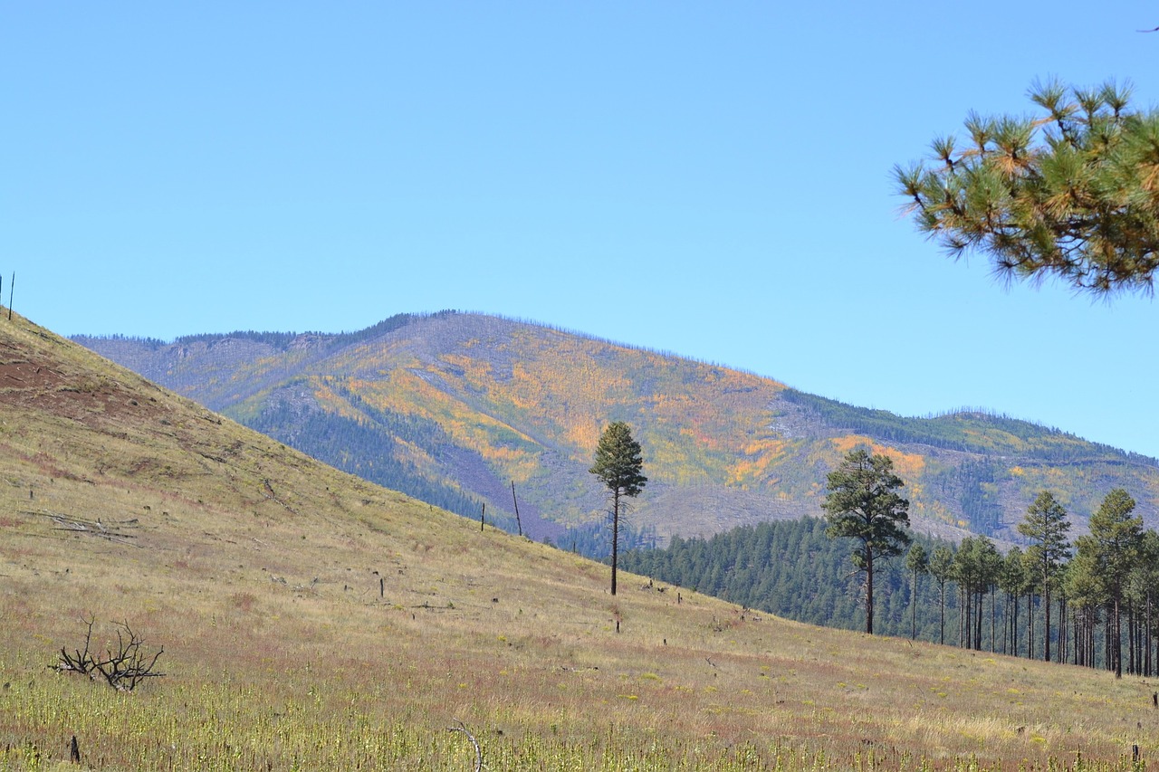 background image fall mountain free photo