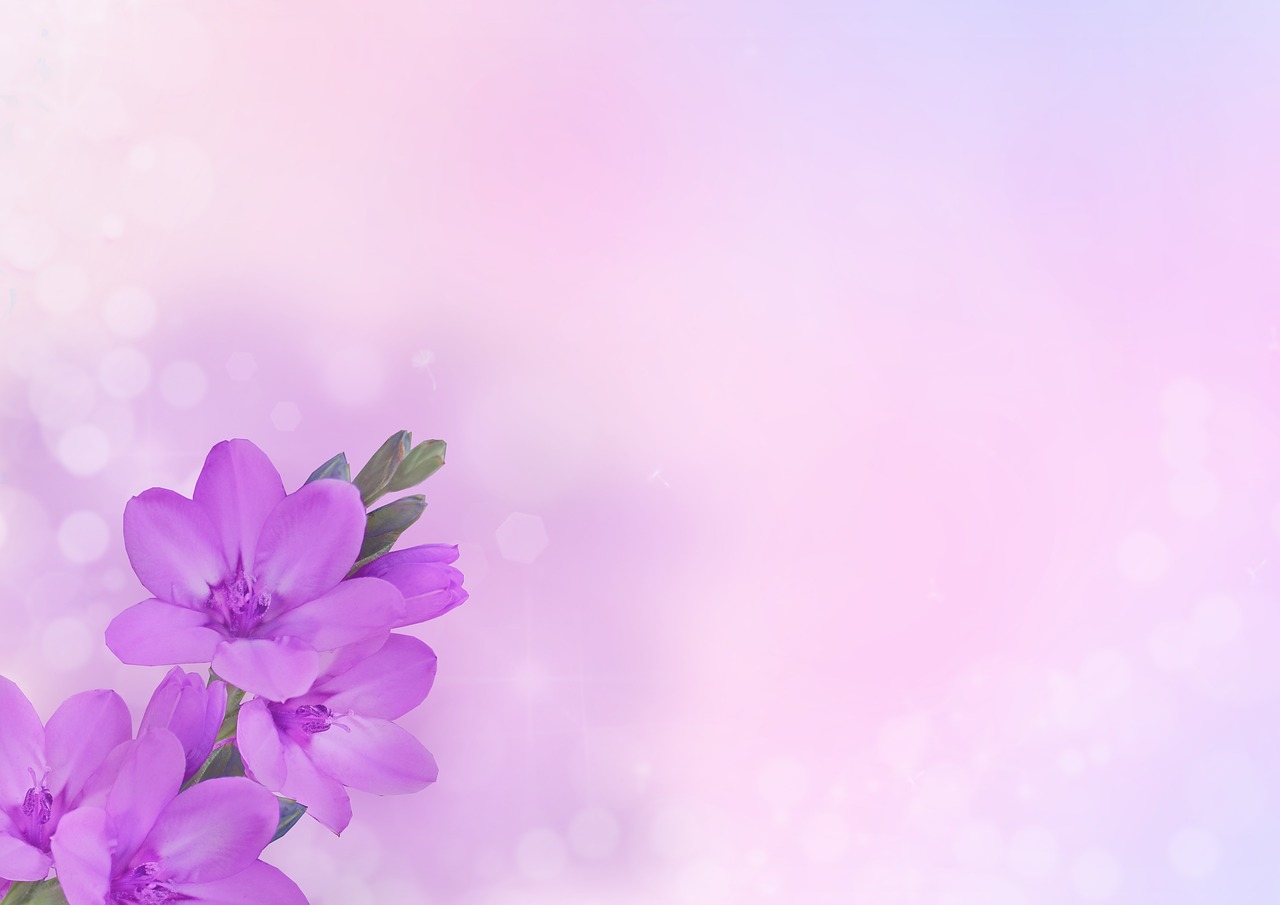 background image  flower  flowers free photo