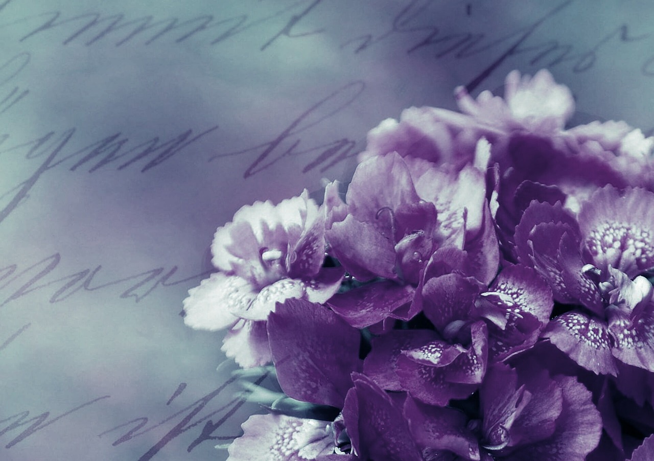 background image flower purple free photo