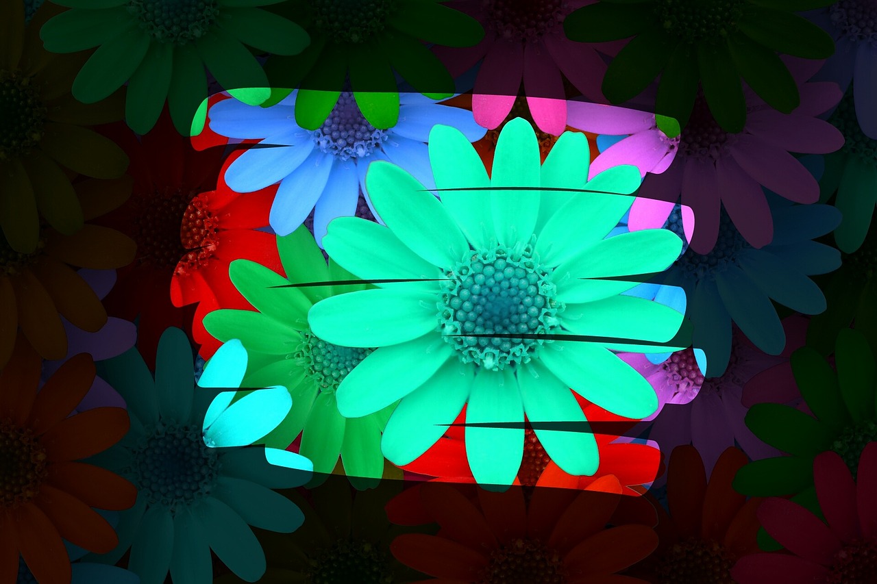 background image flowers colorful free photo