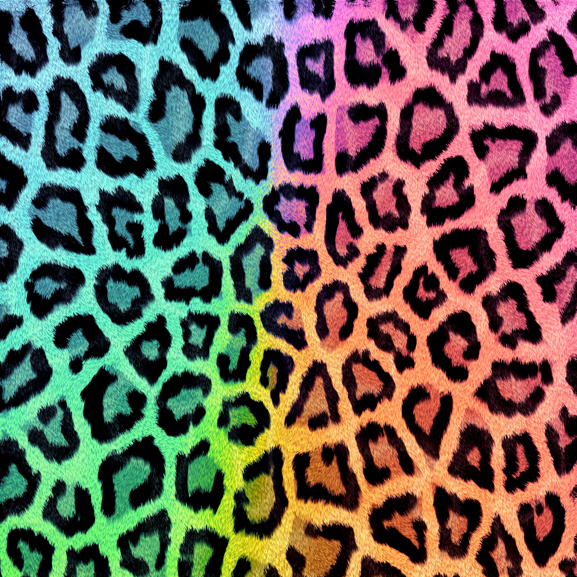 background leopard leopard background # 2 free photo