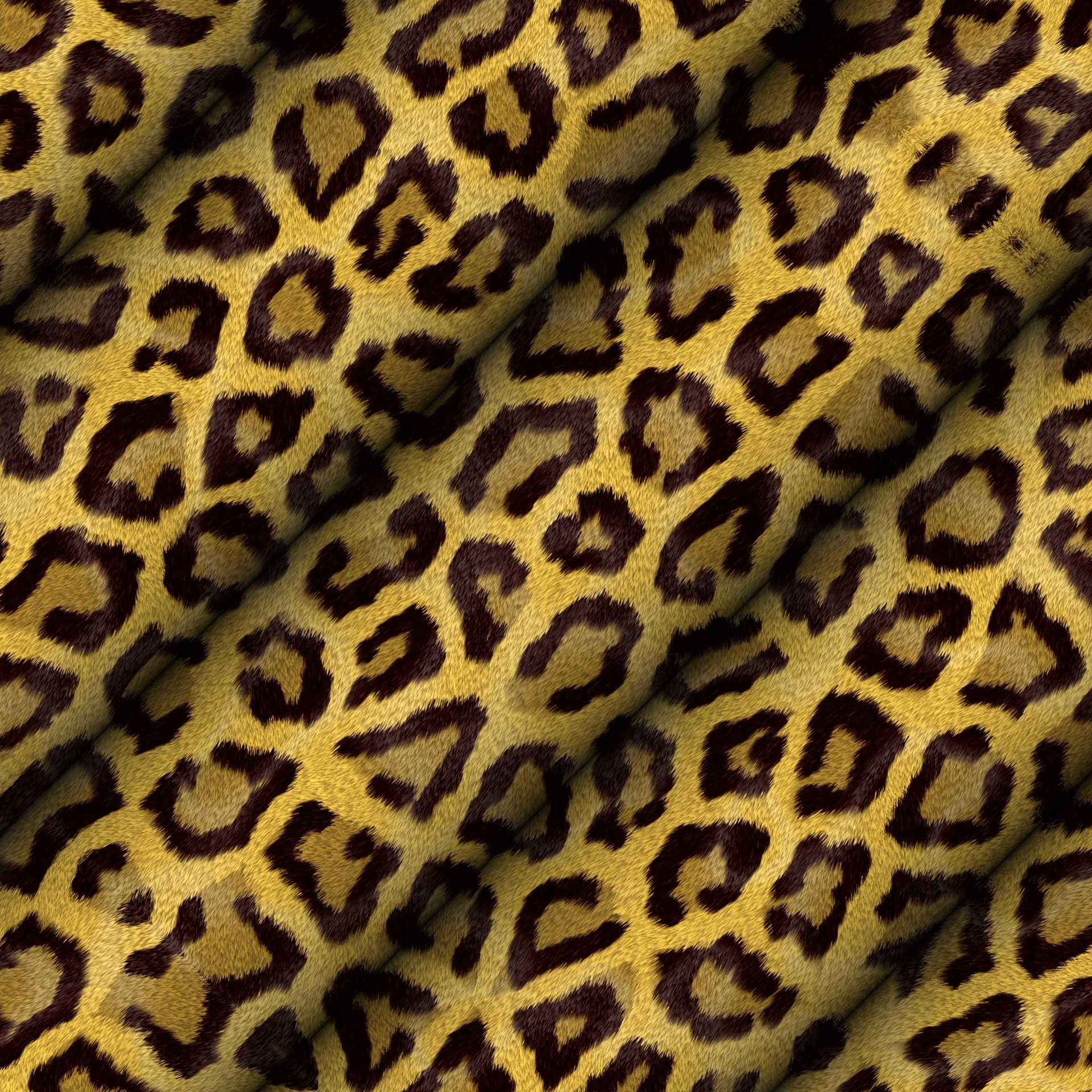 background leopard animal motives free photo