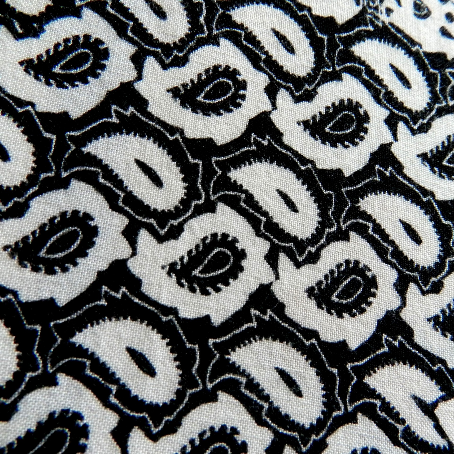 background fabric black and white free photo