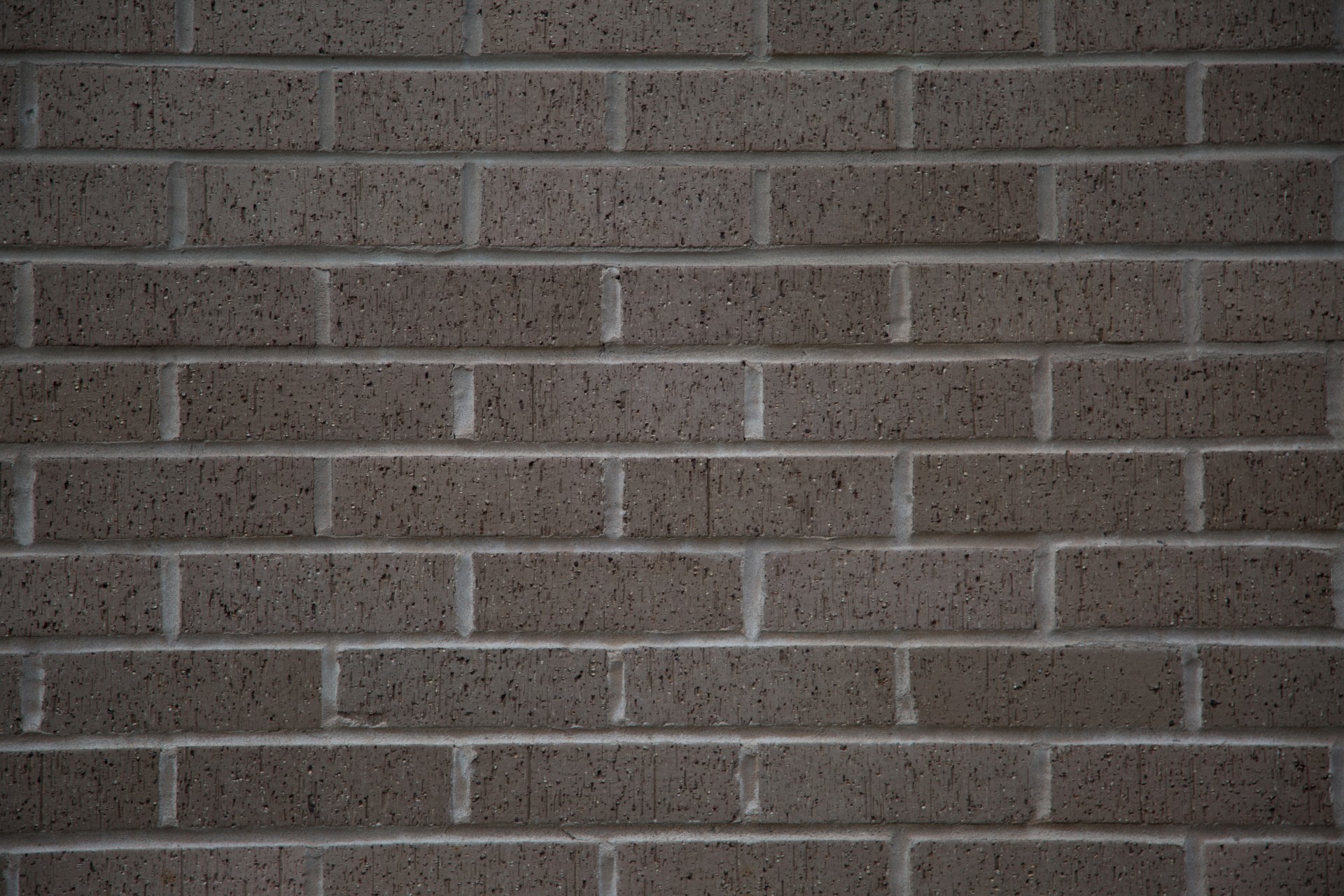 bricks wall stone free photo