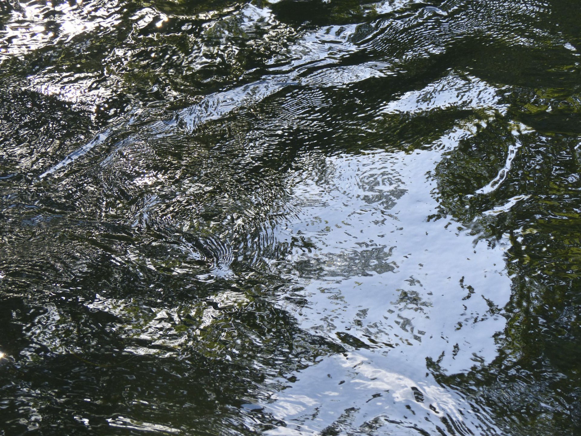 ripple reflection water free photo