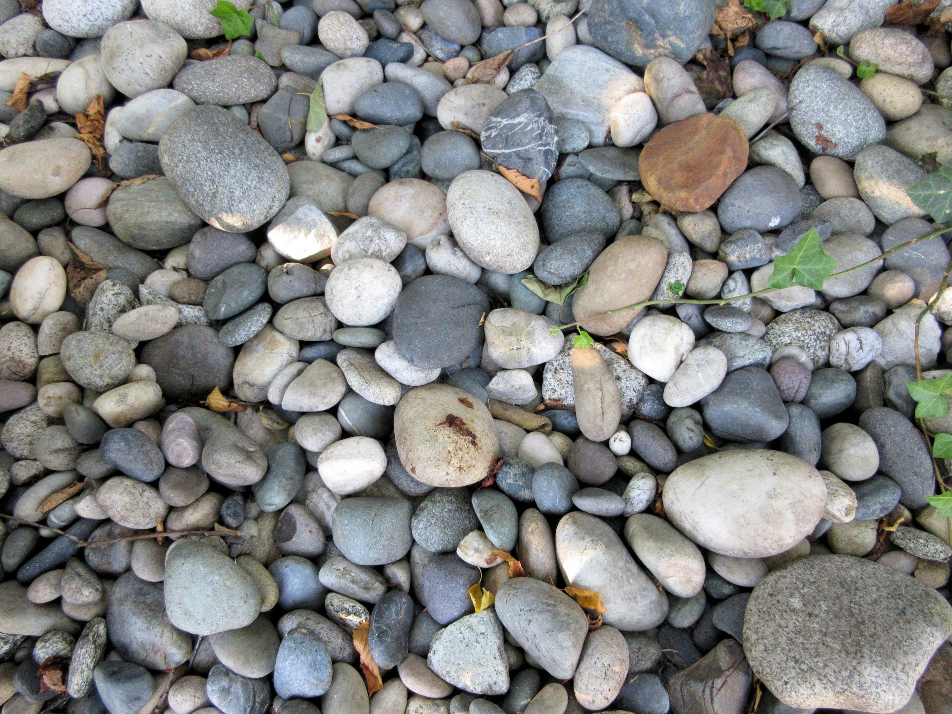 stones rocks background free photo