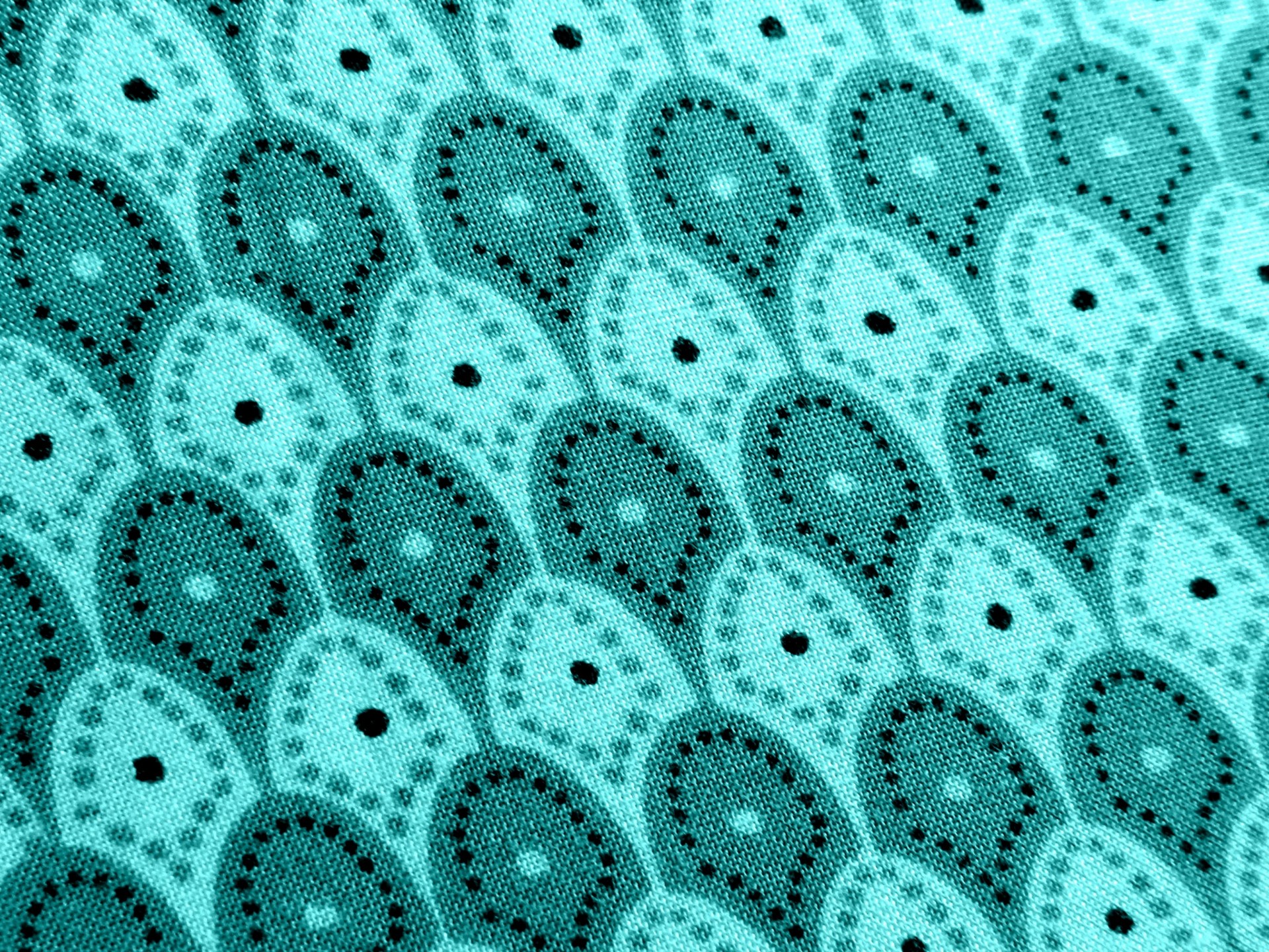 paper patterns turquoise free photo