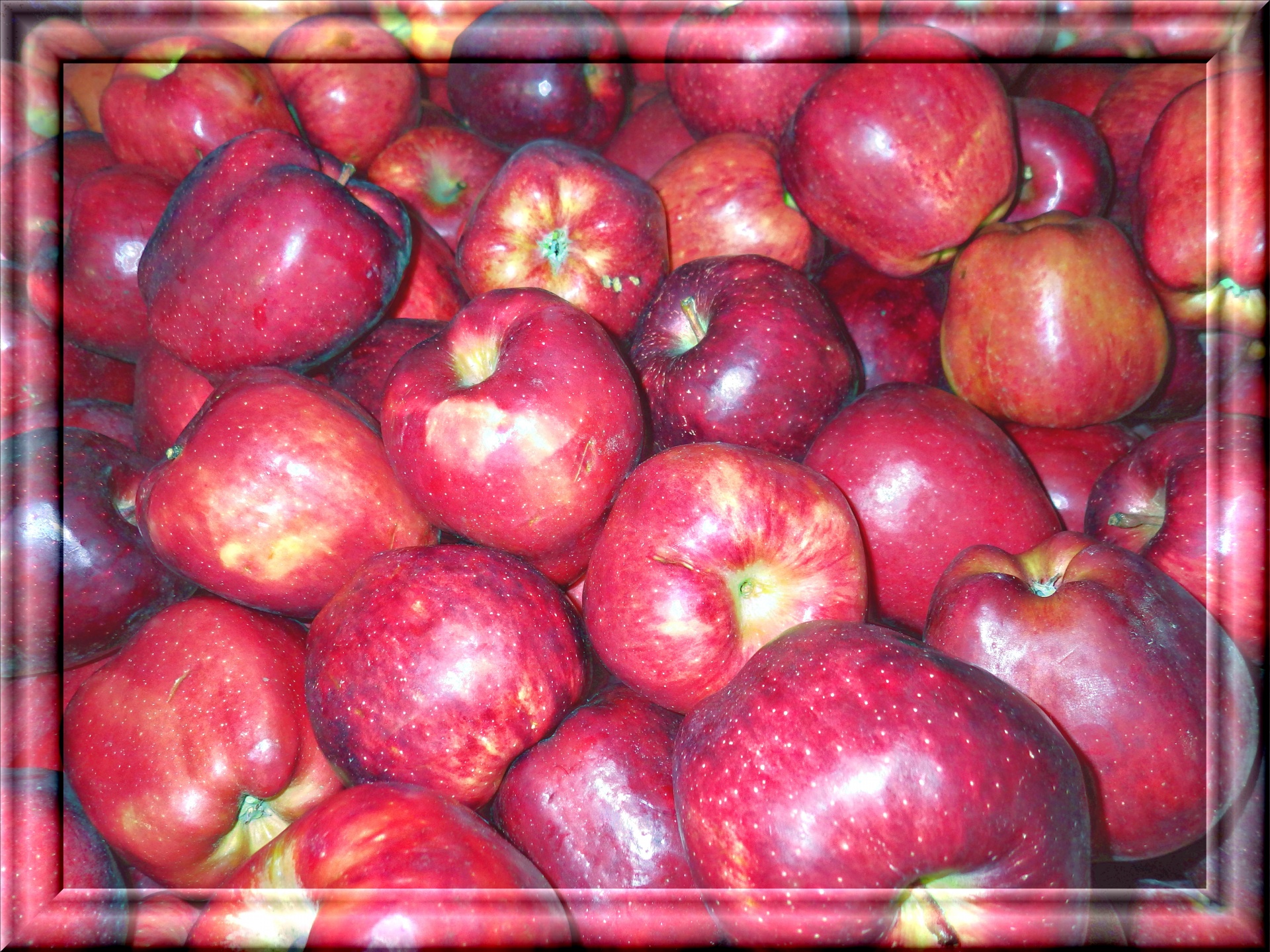 apples 3d glass free photo