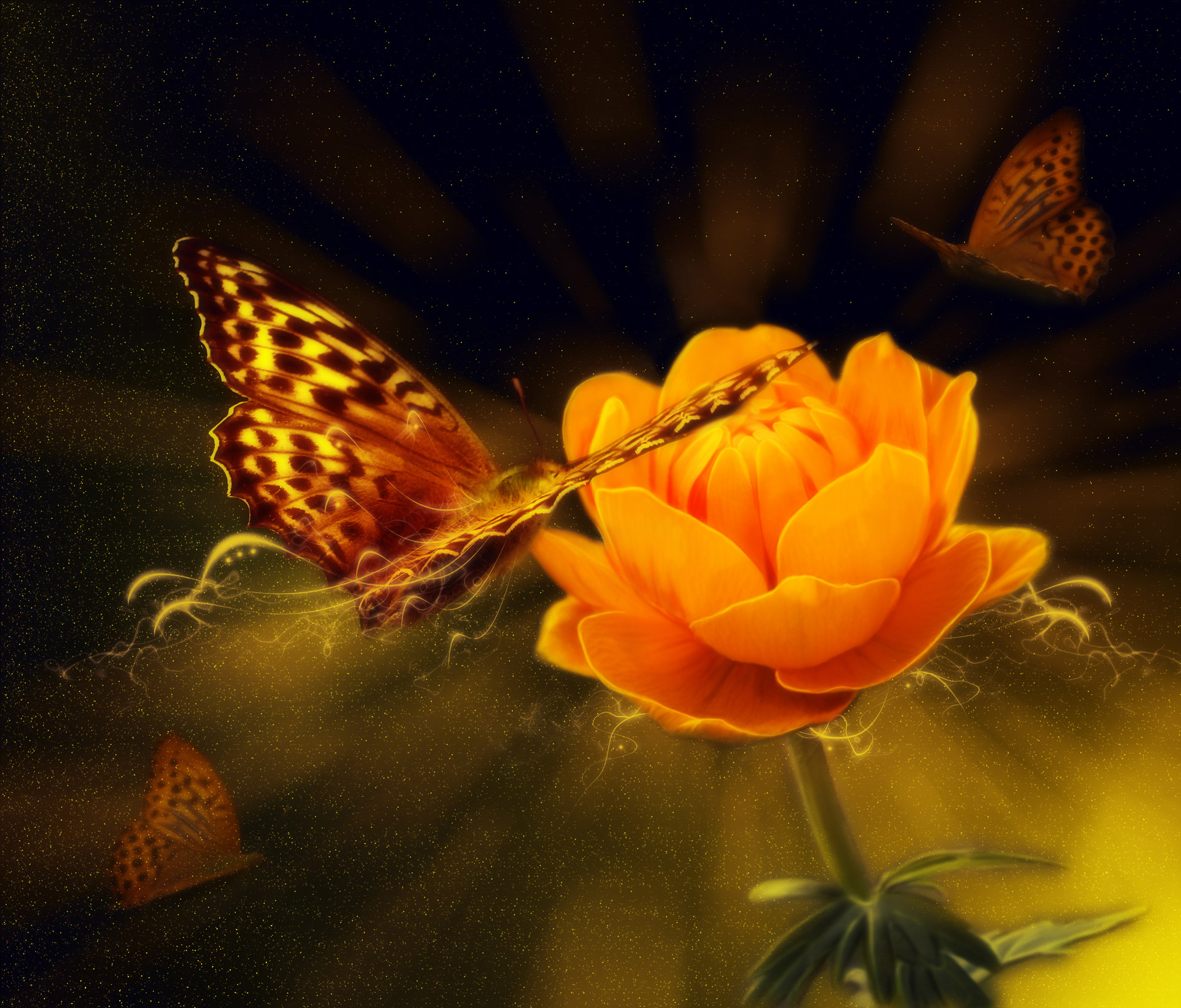 flowers background butterflies free photo