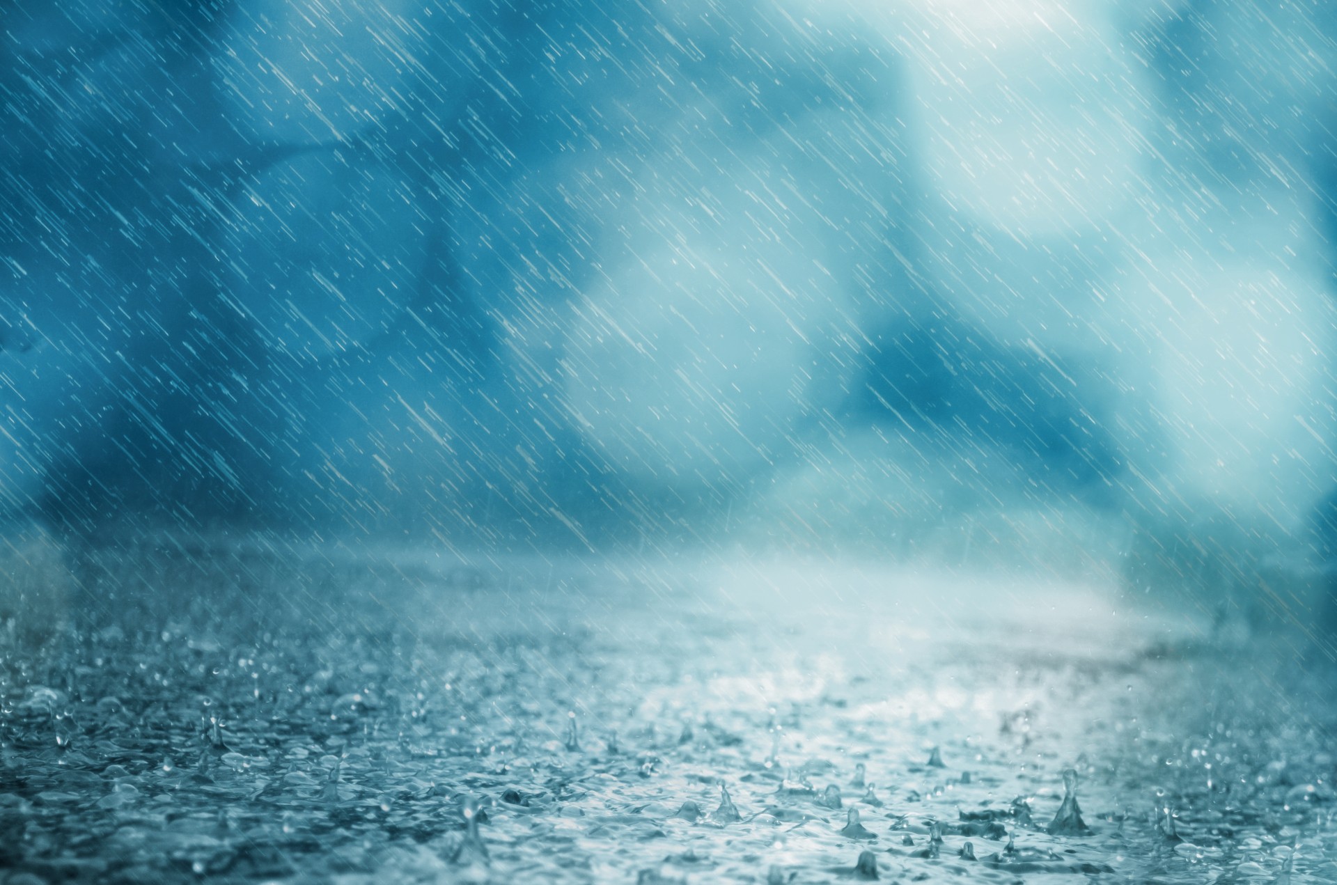 rain background drop free photo