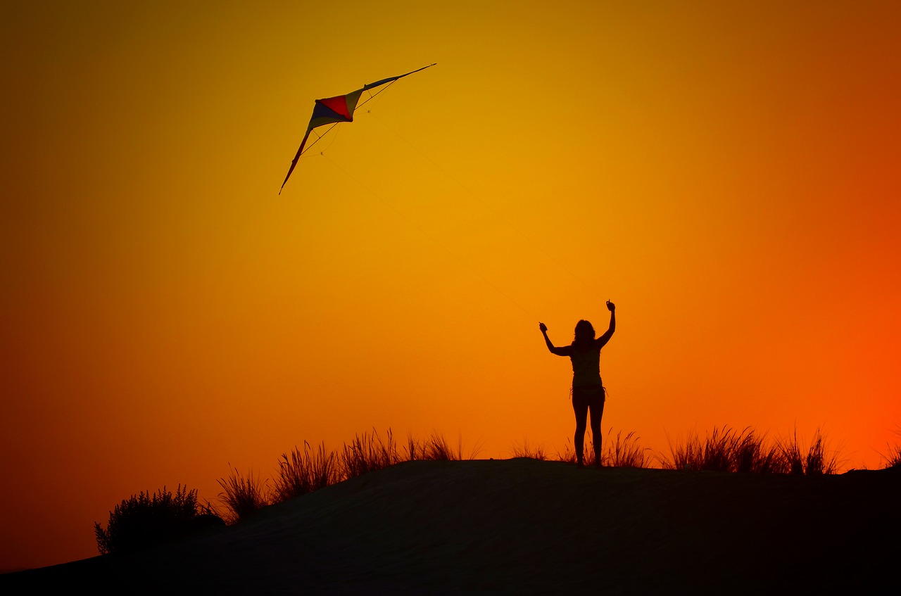 backlight silhouette kite free photo