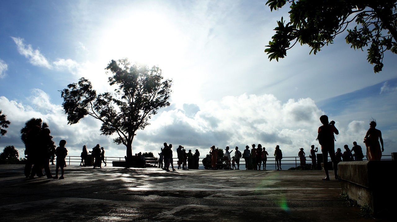 backlit sunlight sunset free photo