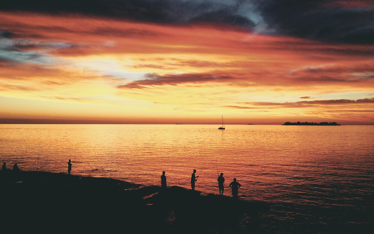 backlit beach dawn free photo