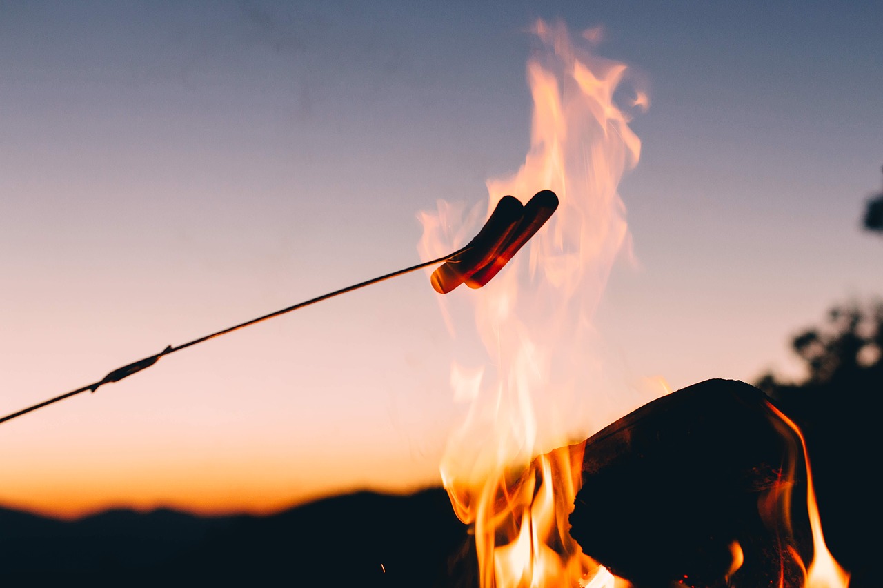 backlit bonfire dawn free photo