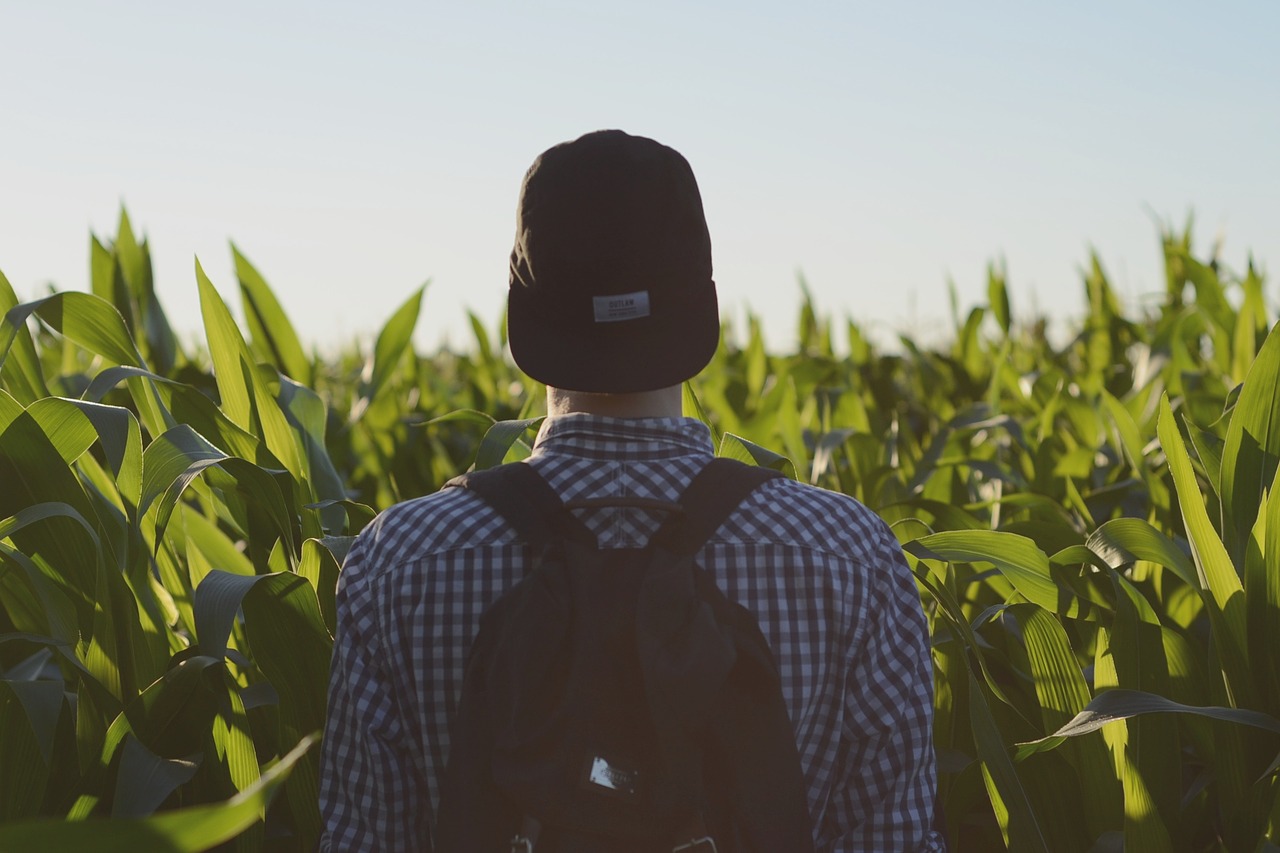 backpack field man free photo