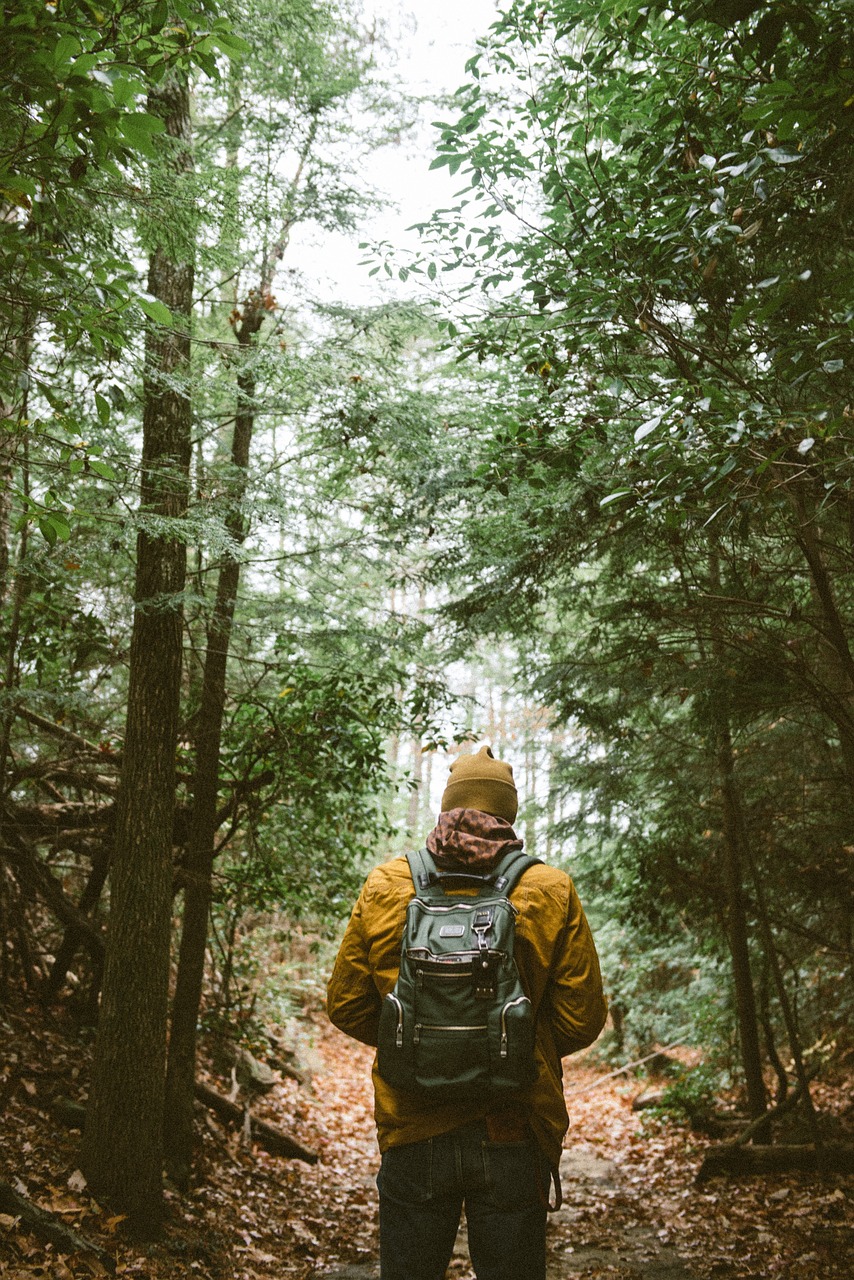 backpack people hiking free photo
