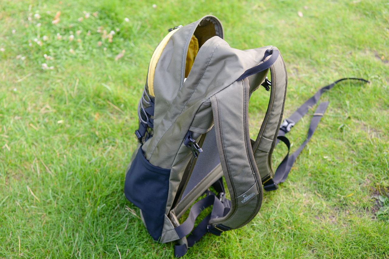 backpack  grass  travel free photo