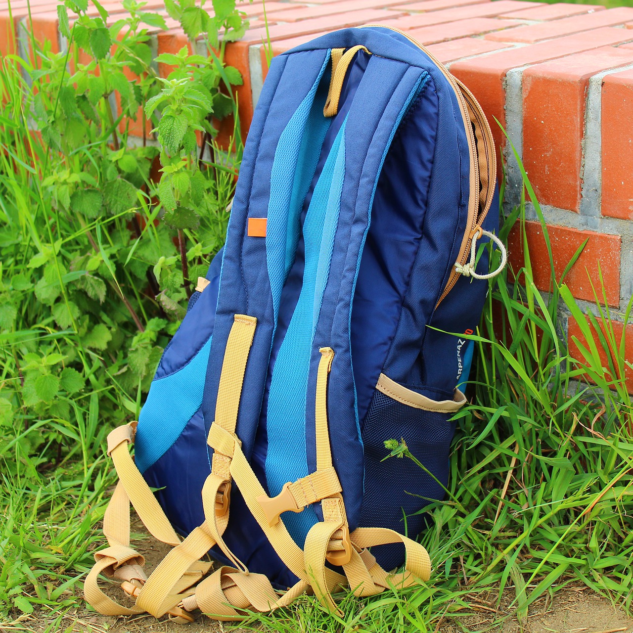 backpack  colored  tourism free photo