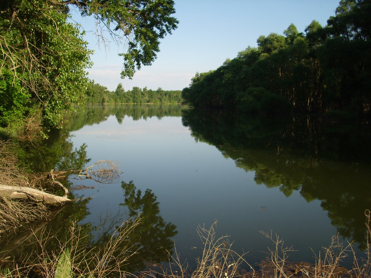 backwater danube river free photo