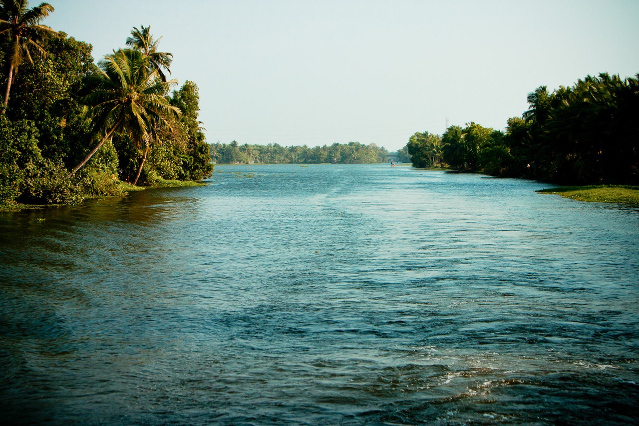 backwaters india kerala free photo