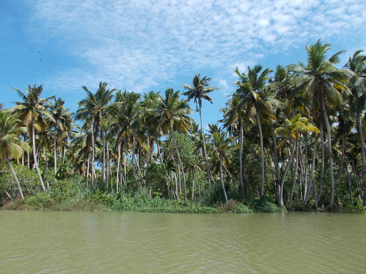 backwaters poovar trivandrum free photo