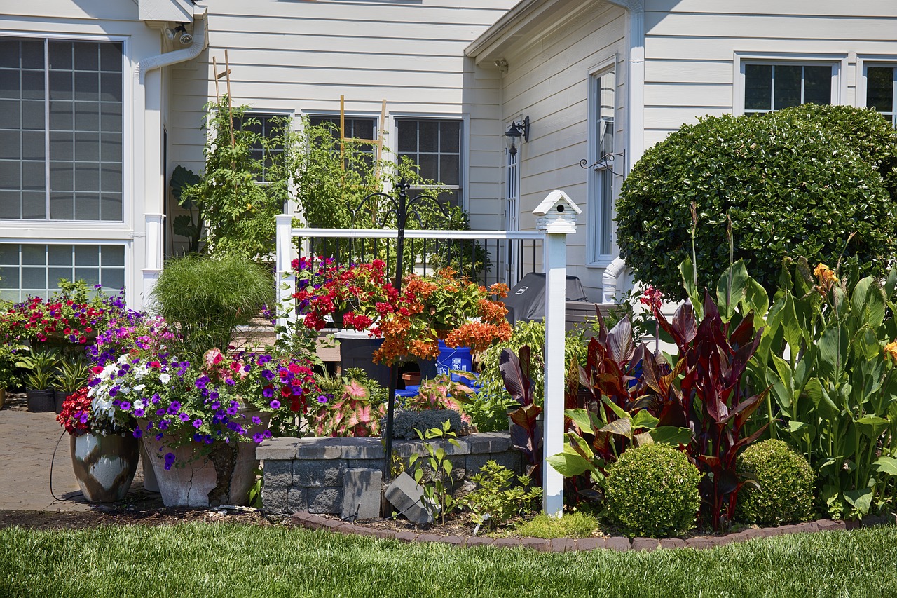 backyard flowers garden free photo