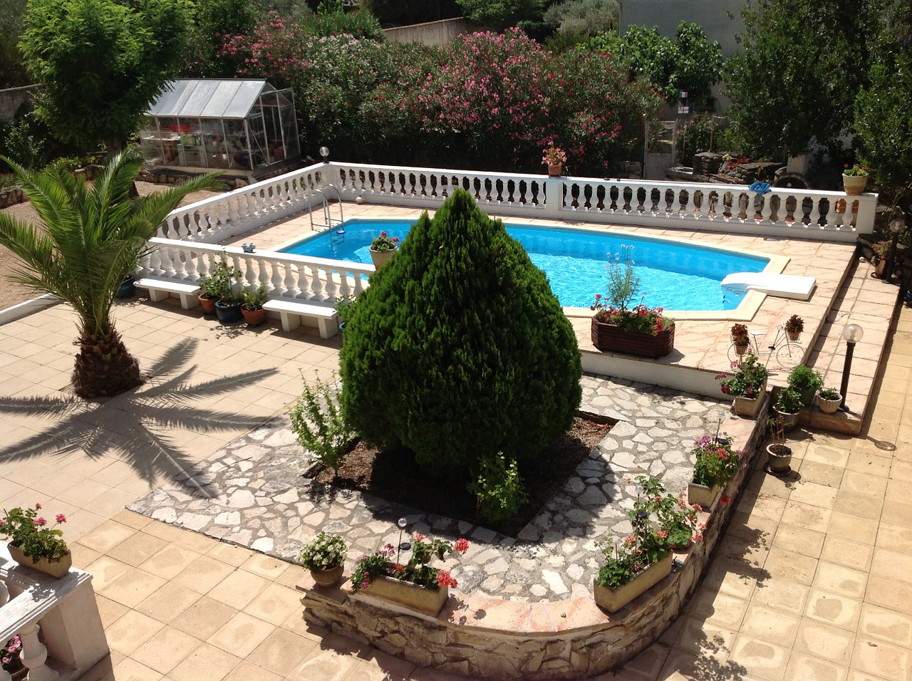 backyard garden swimming pool free photo