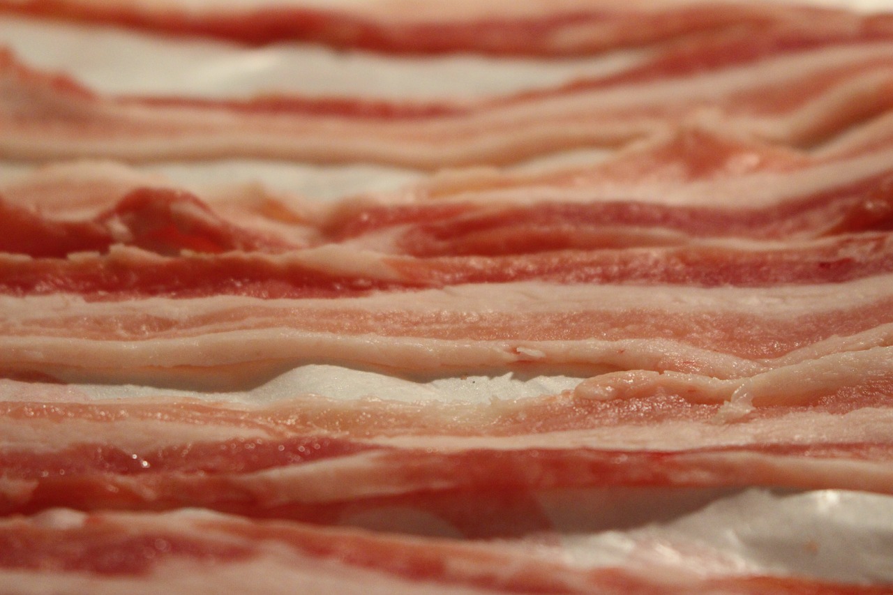 bacon sliced free pictures free photo