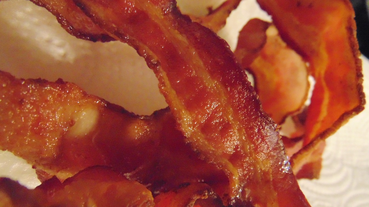 bacon meat pork free photo