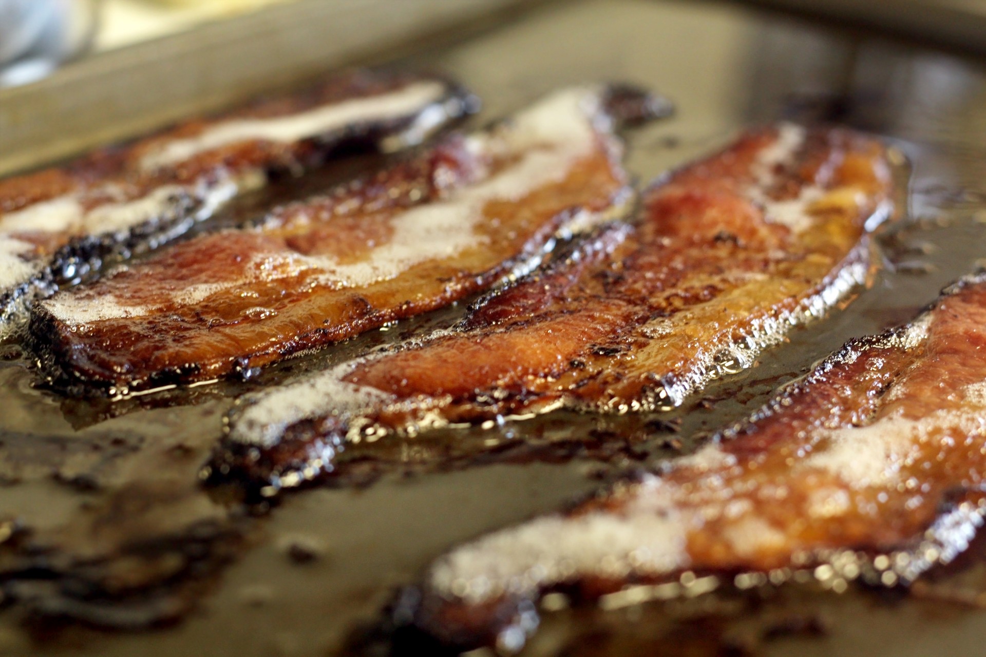 bacon sizzling frying free photo