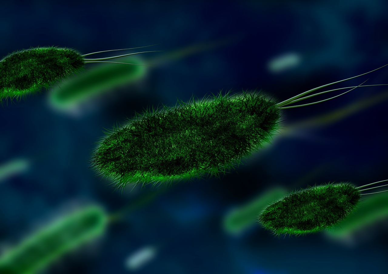 bacteria bacterial species imitation free photo