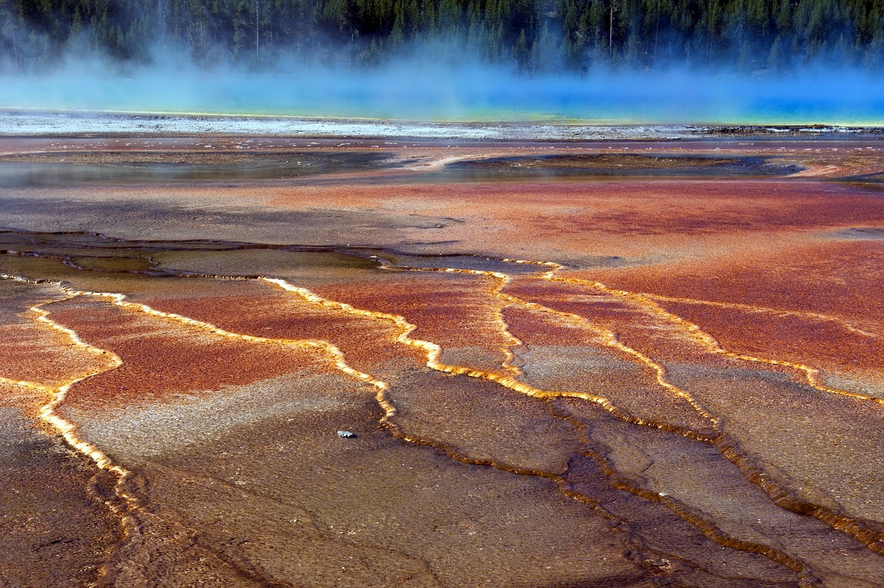 bacterial mats at grand prismatic  spring  hot free photo