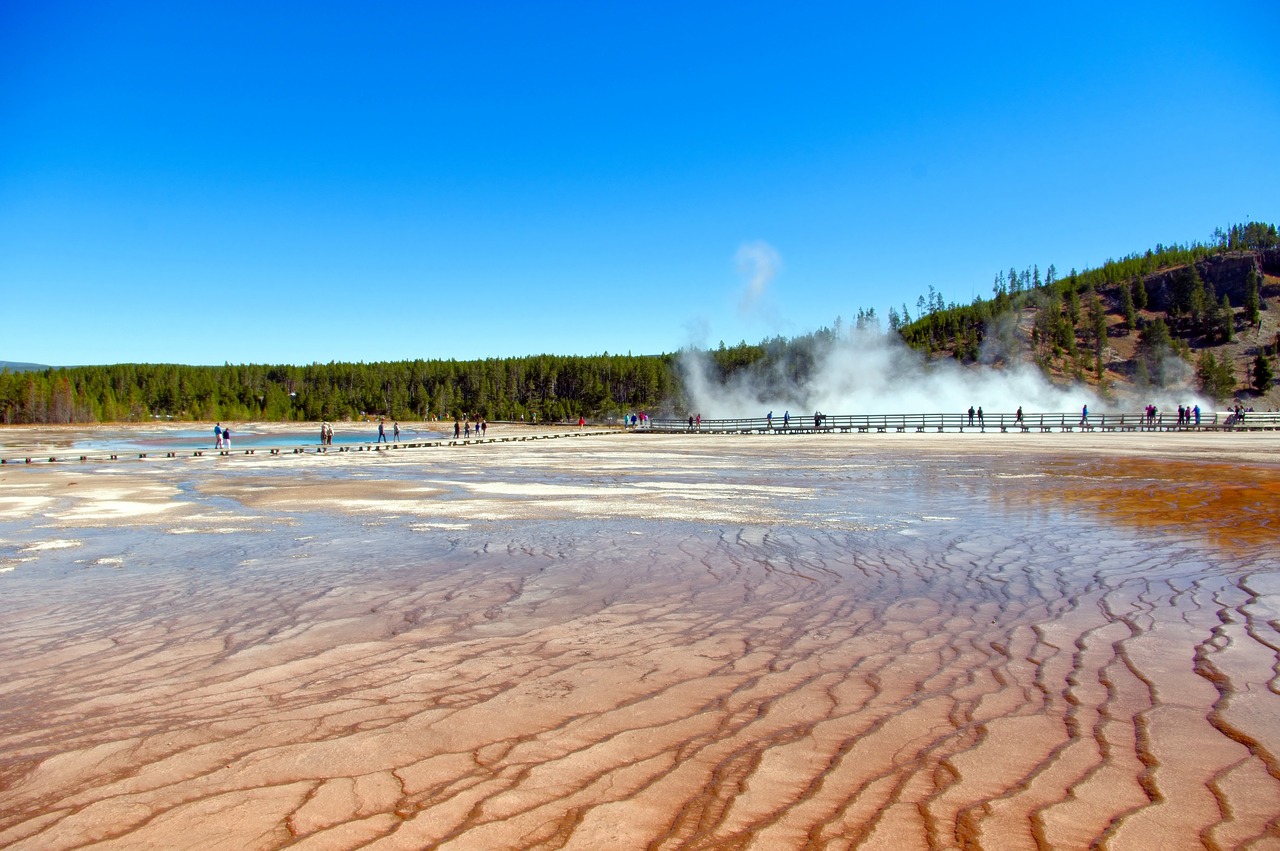 bacterial mats at grand prismatic  spring  hot free photo