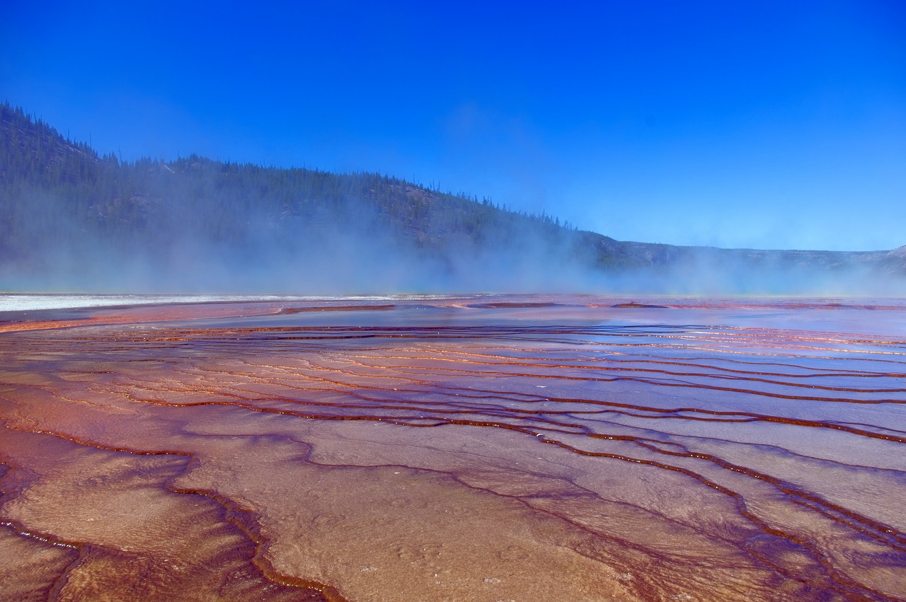 bacterial mats of grand prismatic  pool  springs free photo