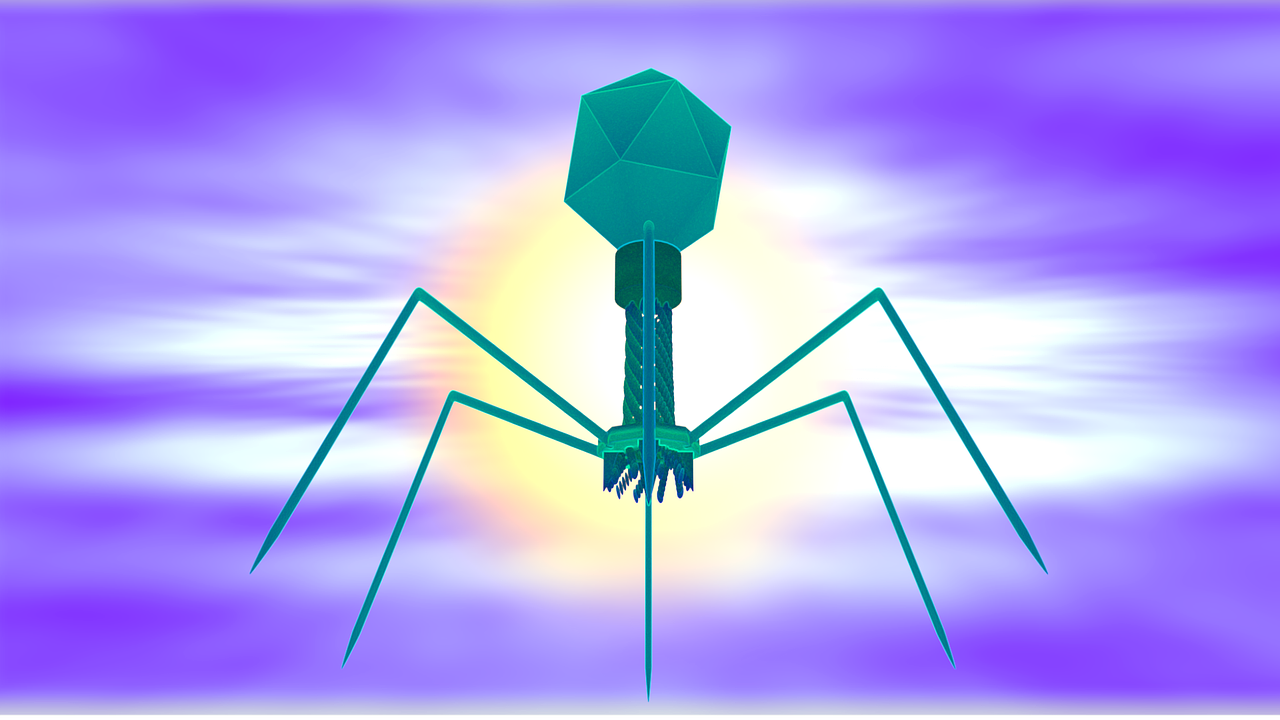 bacteriophage virus biology free photo