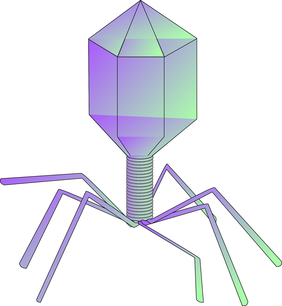 bacteriophage virus phage free photo