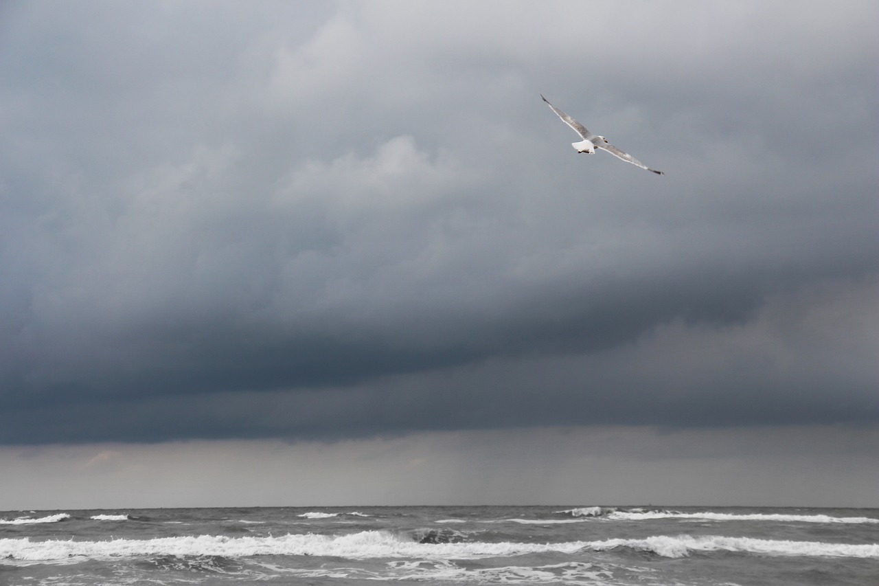 bad  thunderstorm  clouds free photo