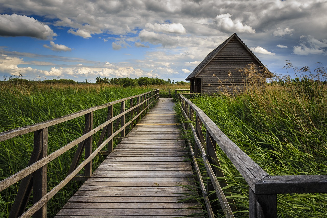 bad buchau spring lake wooden bridge free photo