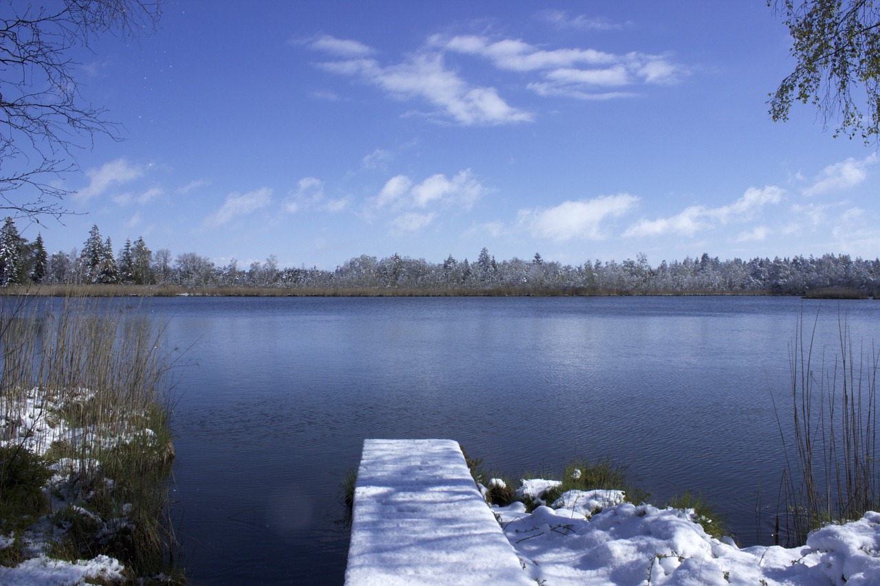 bad wurzach nature reserve moor free photo