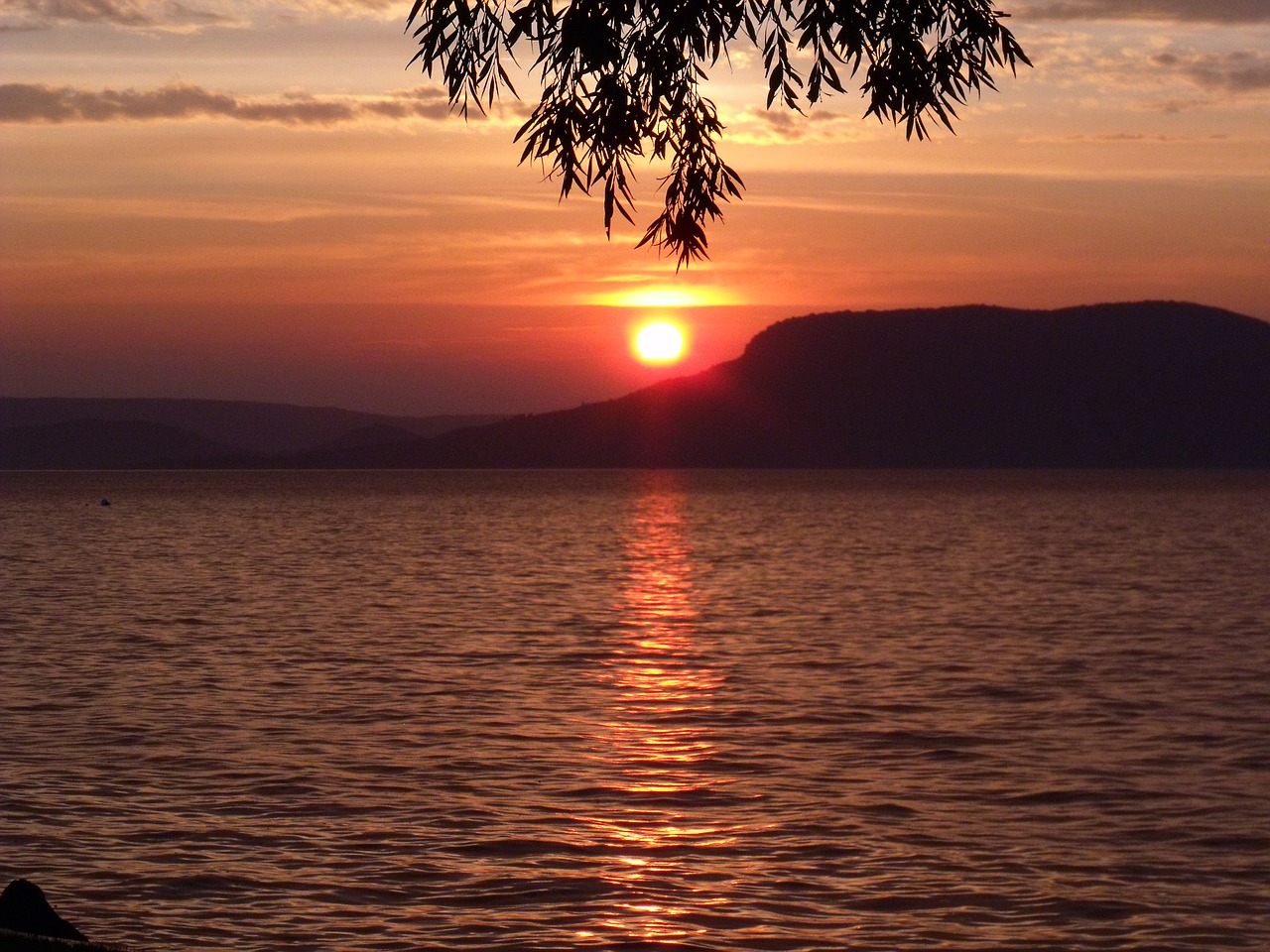 badacsony lake balaton sunset free photo