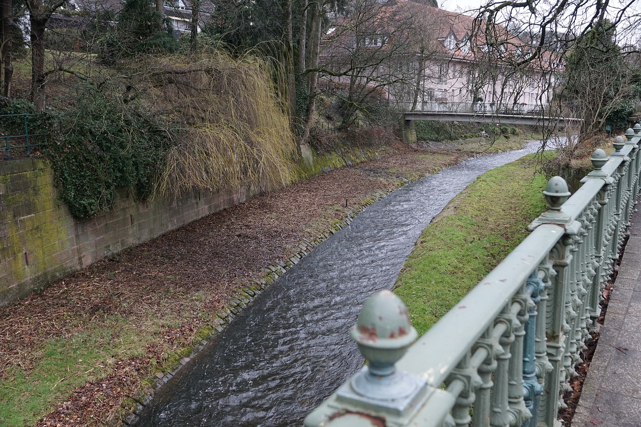 baden baden park nature free photo