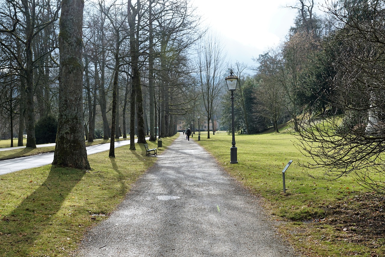 baden baden park nature free photo